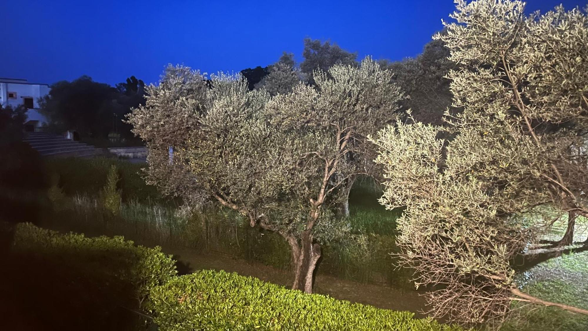 L'Isola Dei Vacanzieri Sant'Andrea Apostolo dello Ionio Exteriör bild